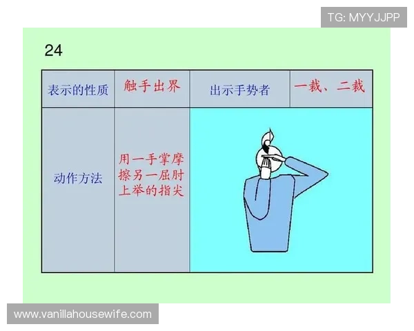体育投球赛中常见的规则与裁判标准，帮助参赛者全面理解比赛规范与评分体系